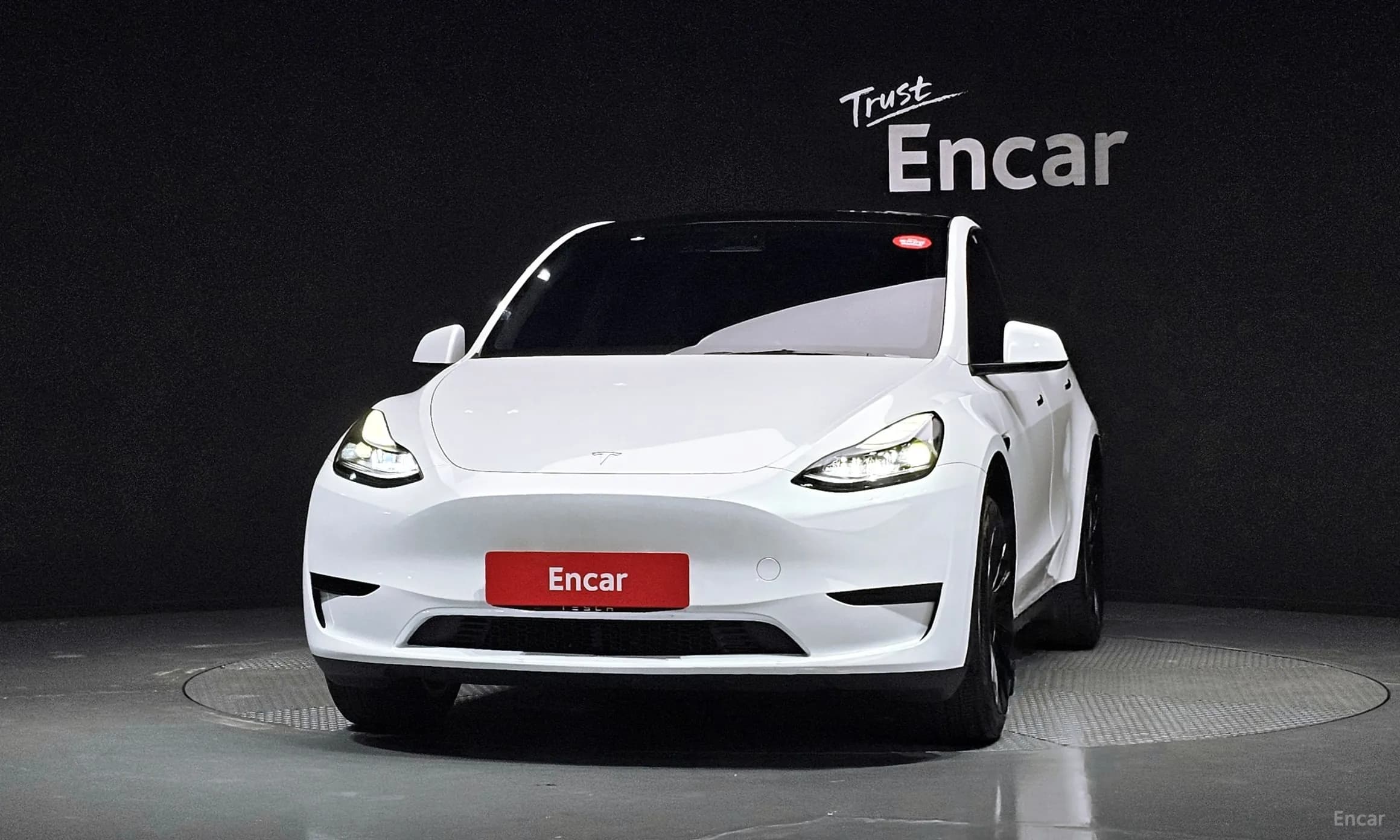 Model Y