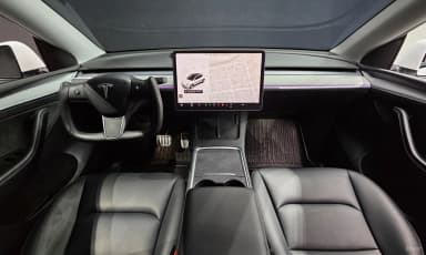 Model Y