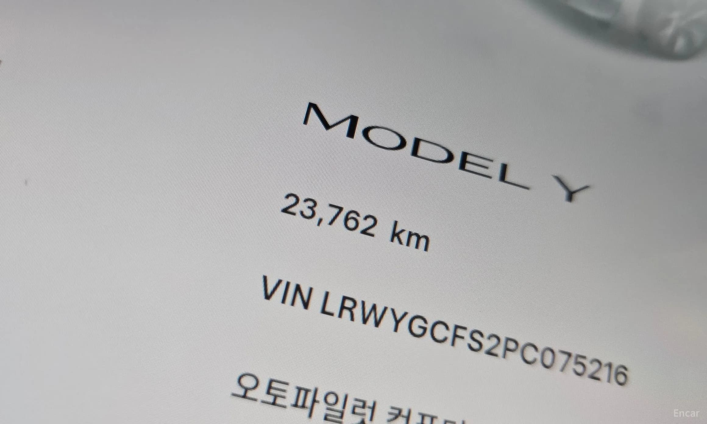 Model Y