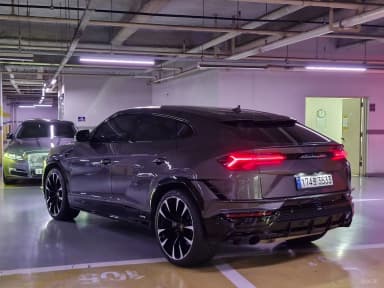 Urus