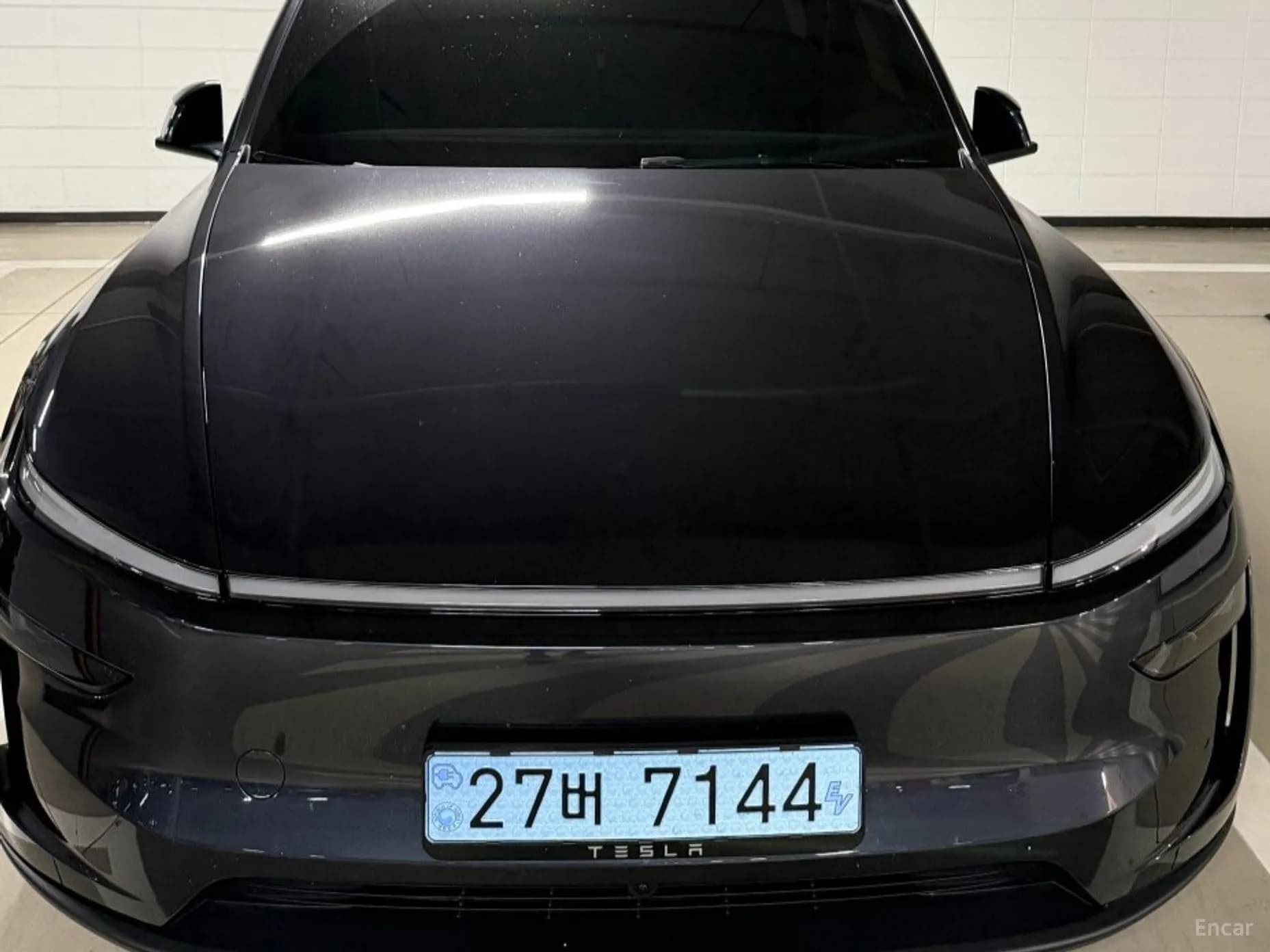 Model Y