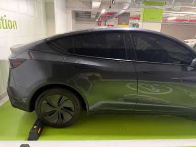 Model Y