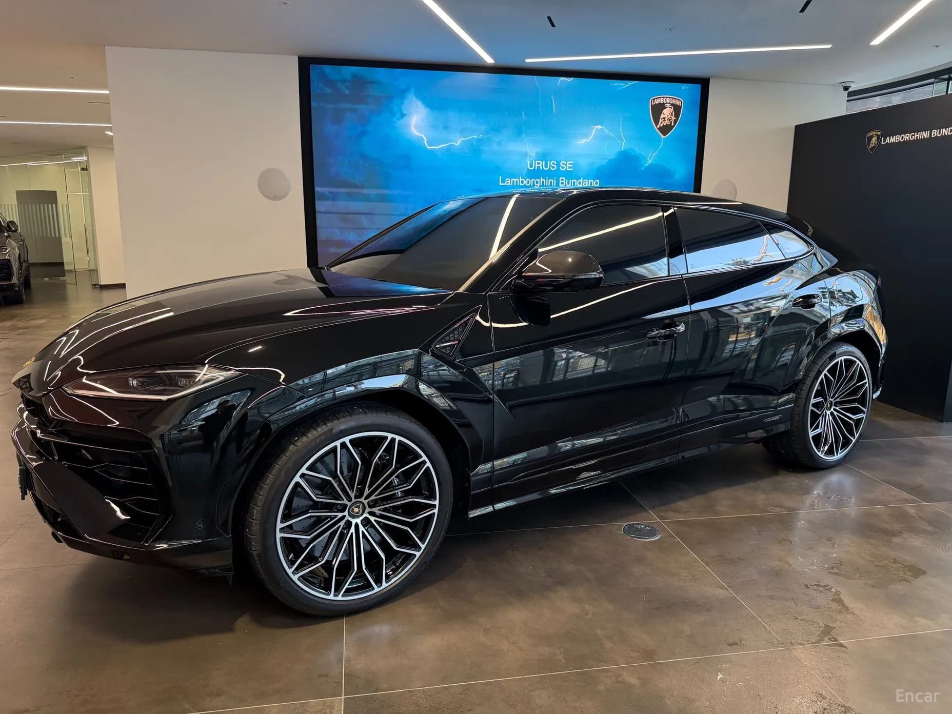 Urus