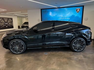 Urus