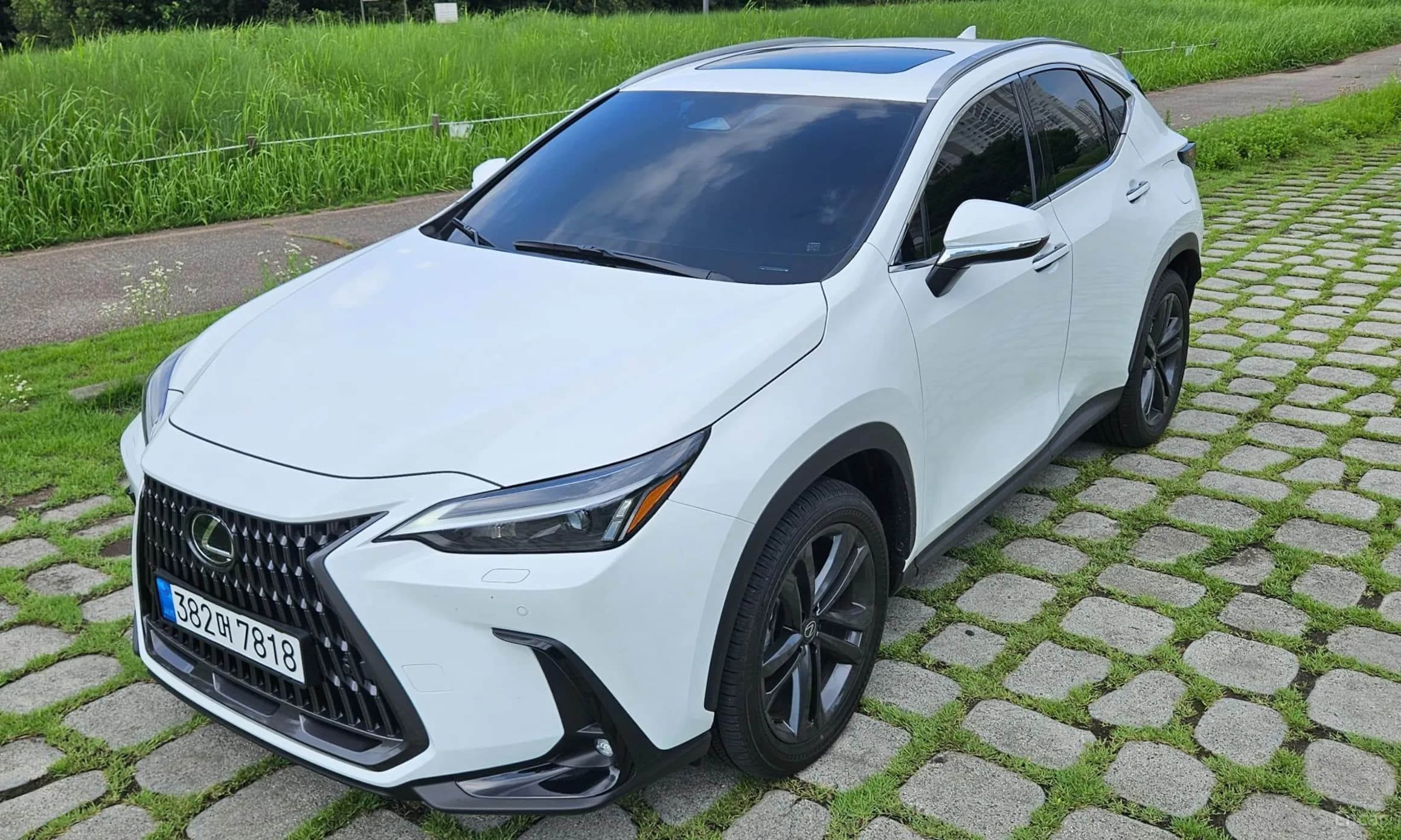 NX350h Gen 2