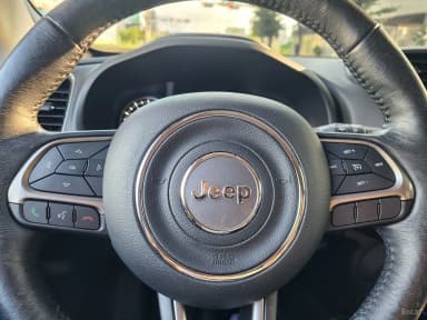 Renegade