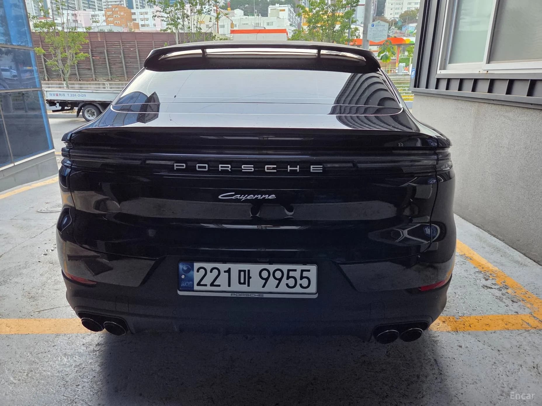 Cayenne (PO536)