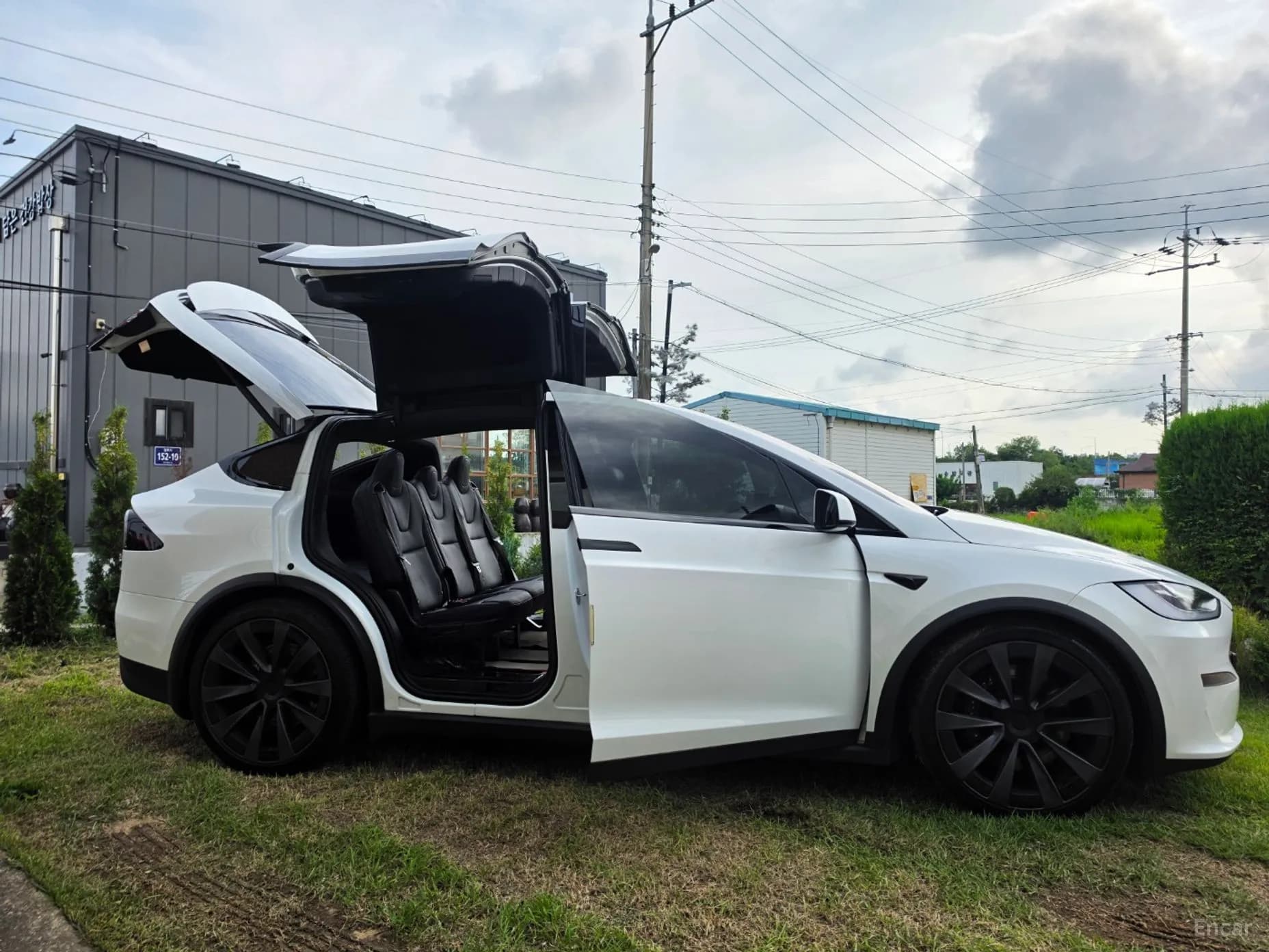 Model X