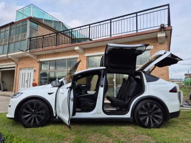 Model X