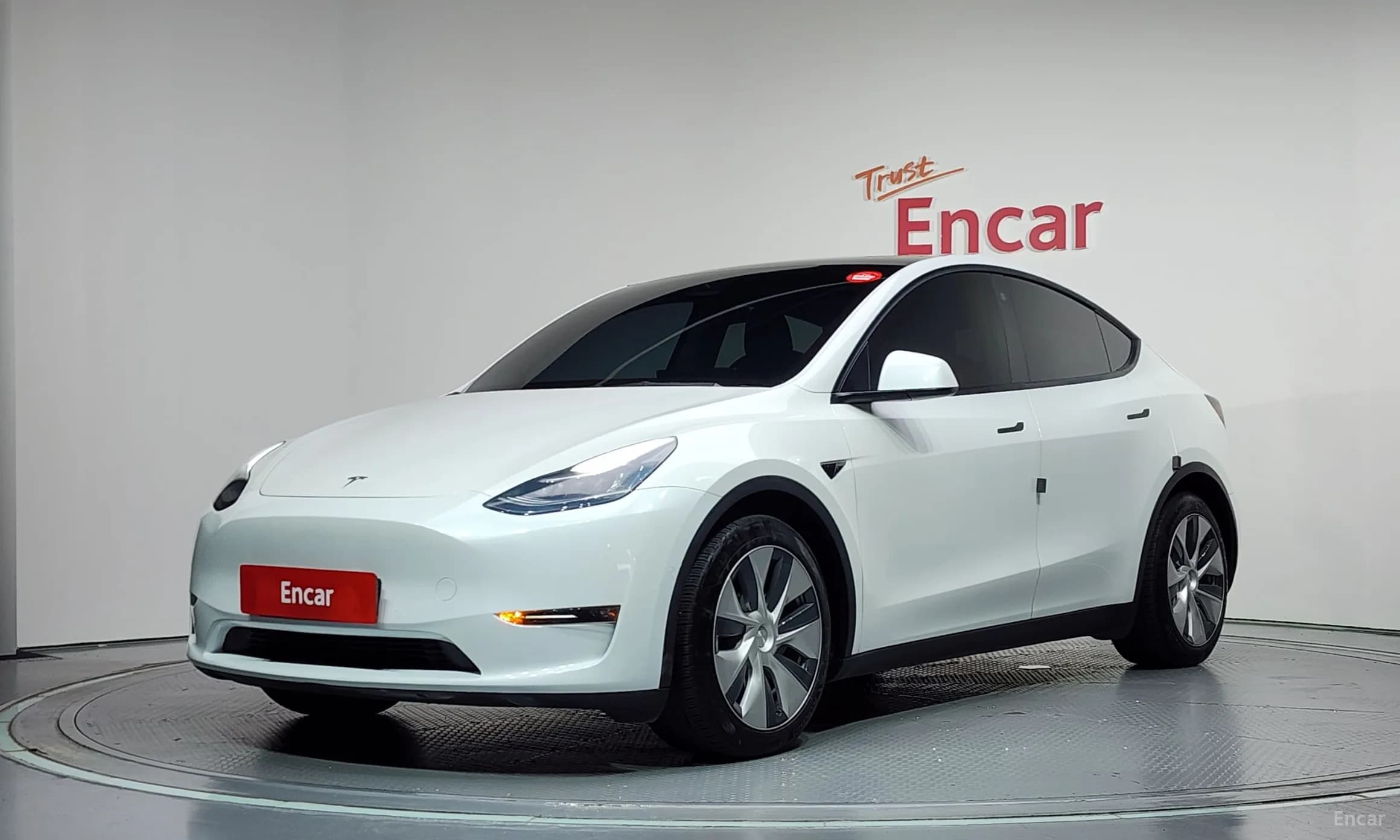 Model Y