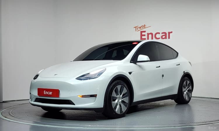 Model Y
