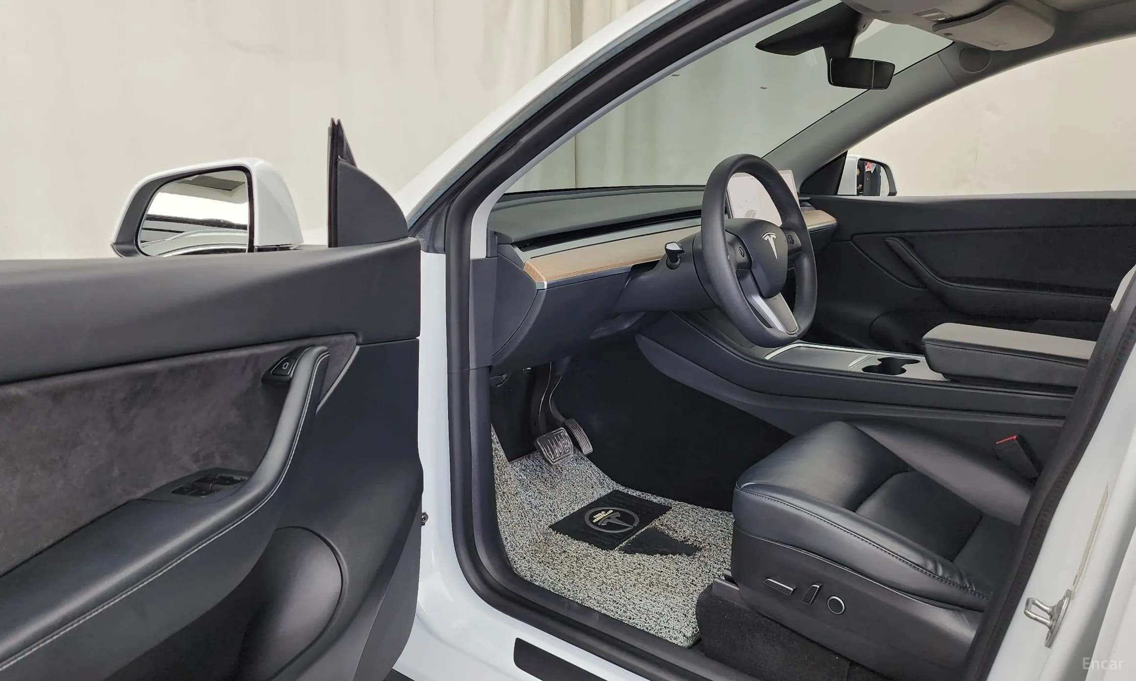 Model Y