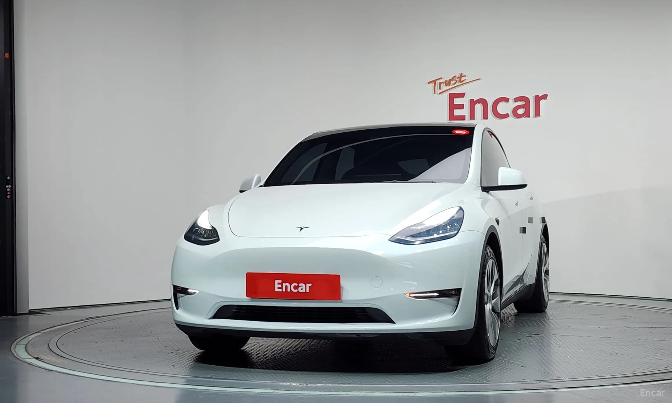 Model Y
