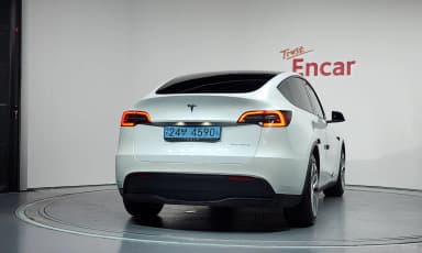 Model Y
