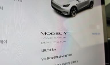 Model Y