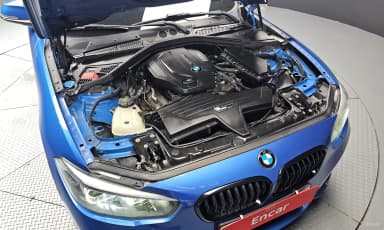 1 Series (F20)
