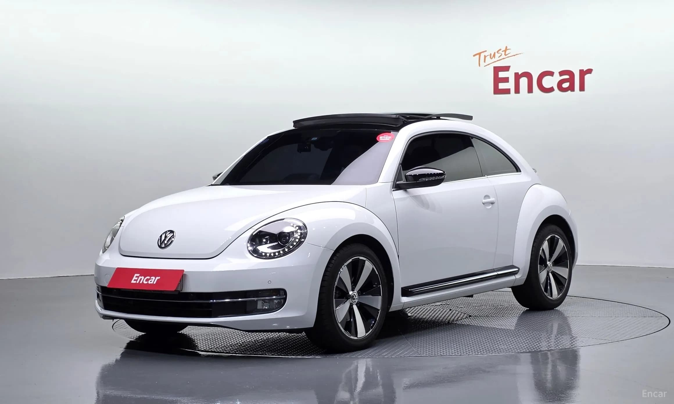 The Beetle