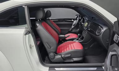 The Beetle