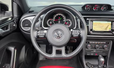 The Beetle