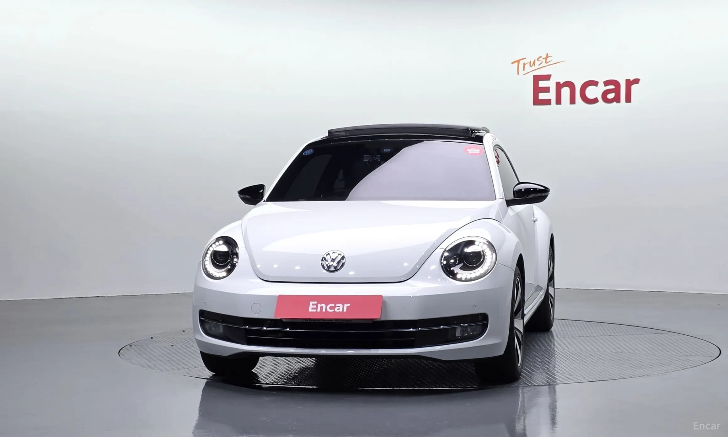 The Beetle