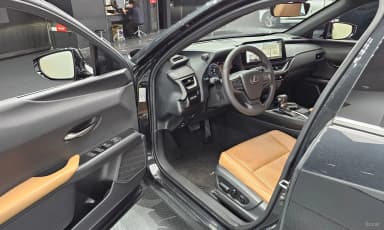 UX250h