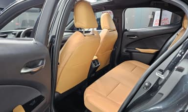 UX250h