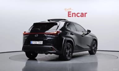 UX250h