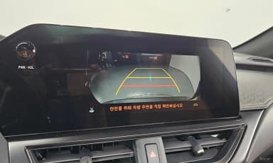 UX250h