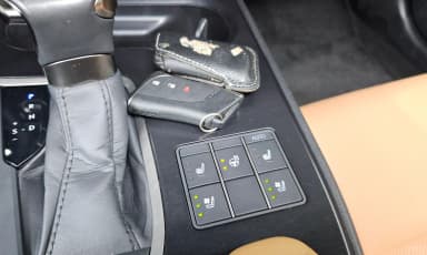 UX250h