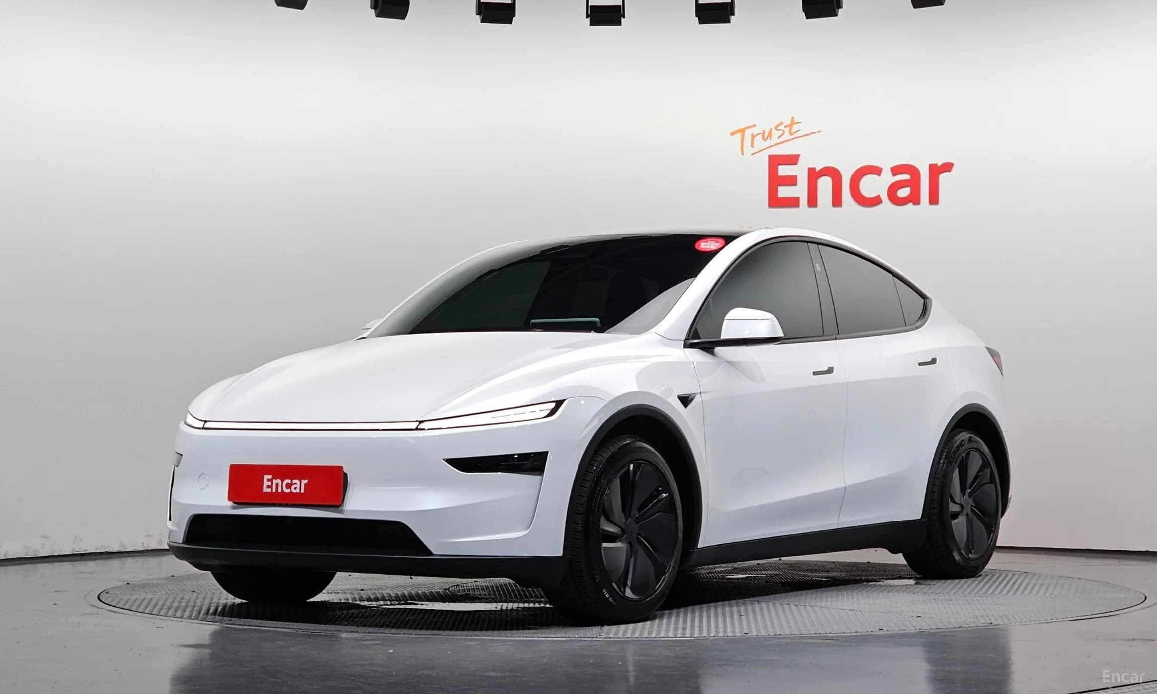 Model Y