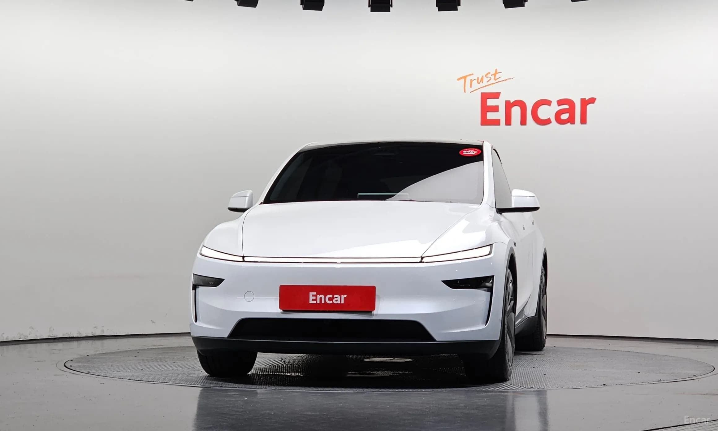 Model Y