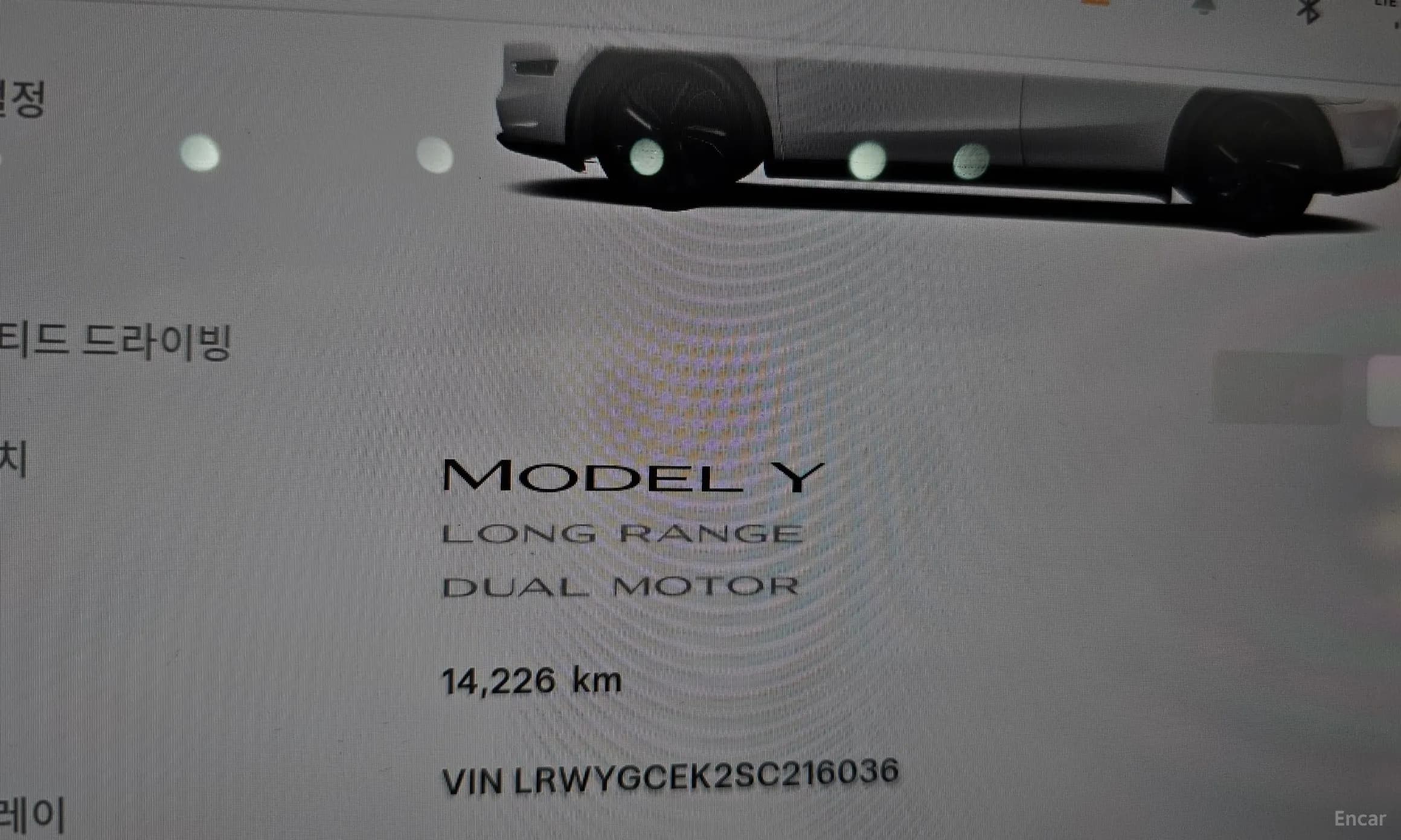 Model Y