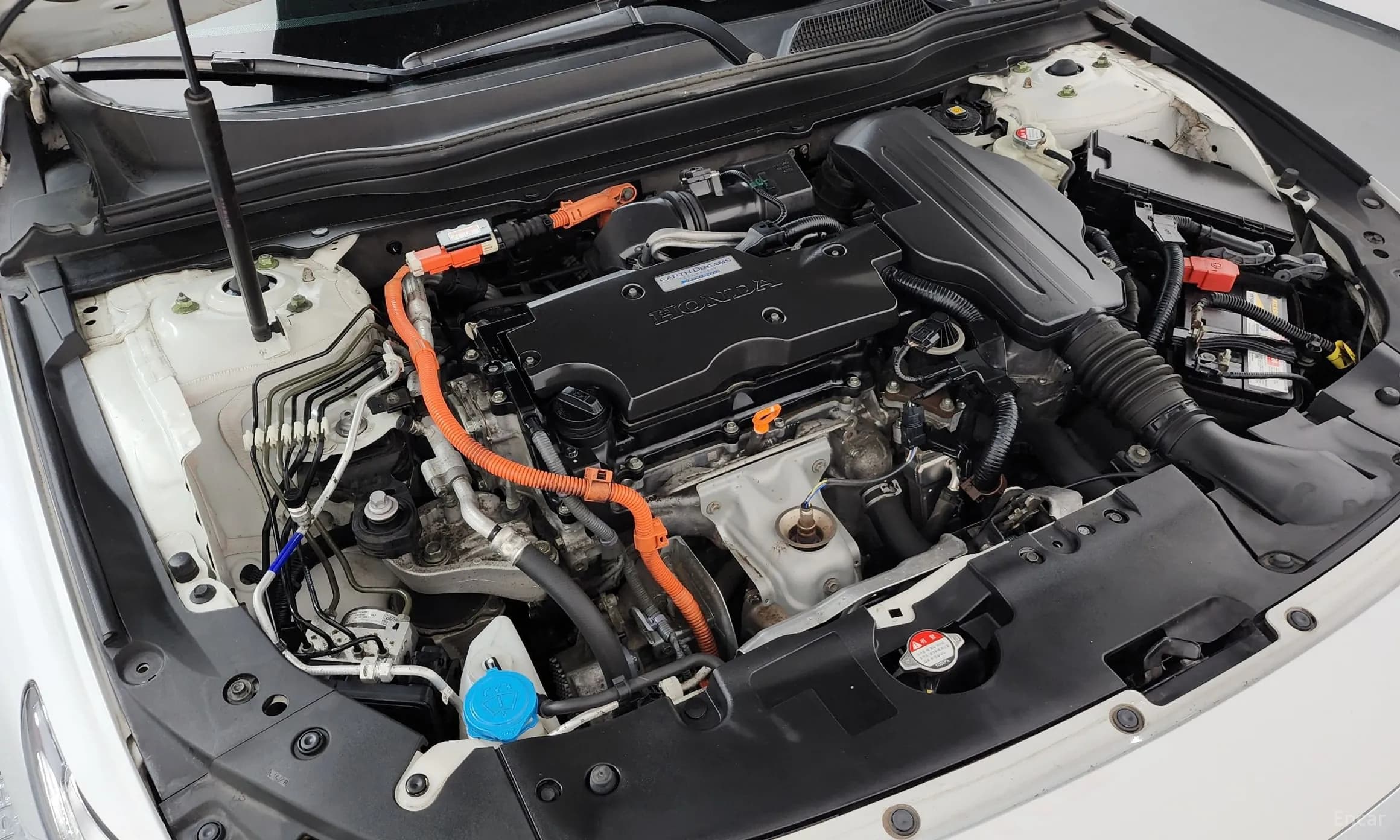 Accord 10th Generation