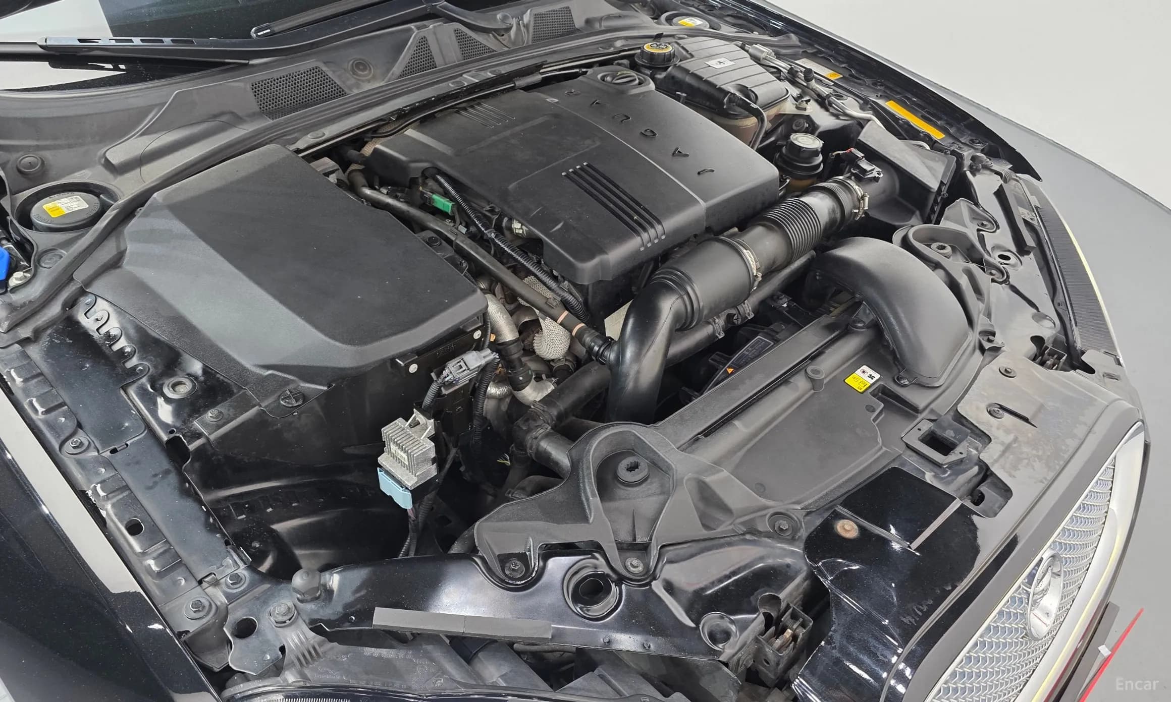 New XF