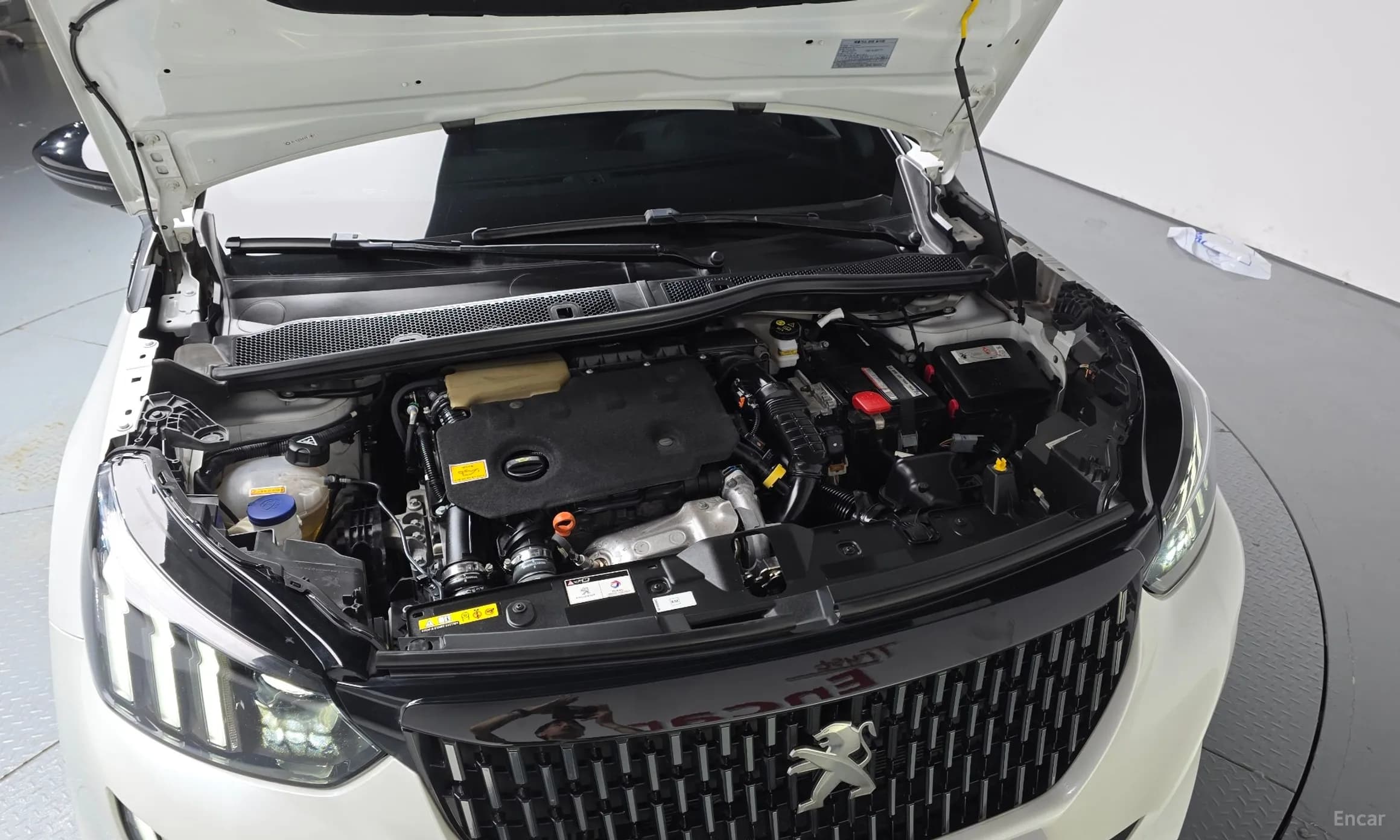 2008 Second Generation