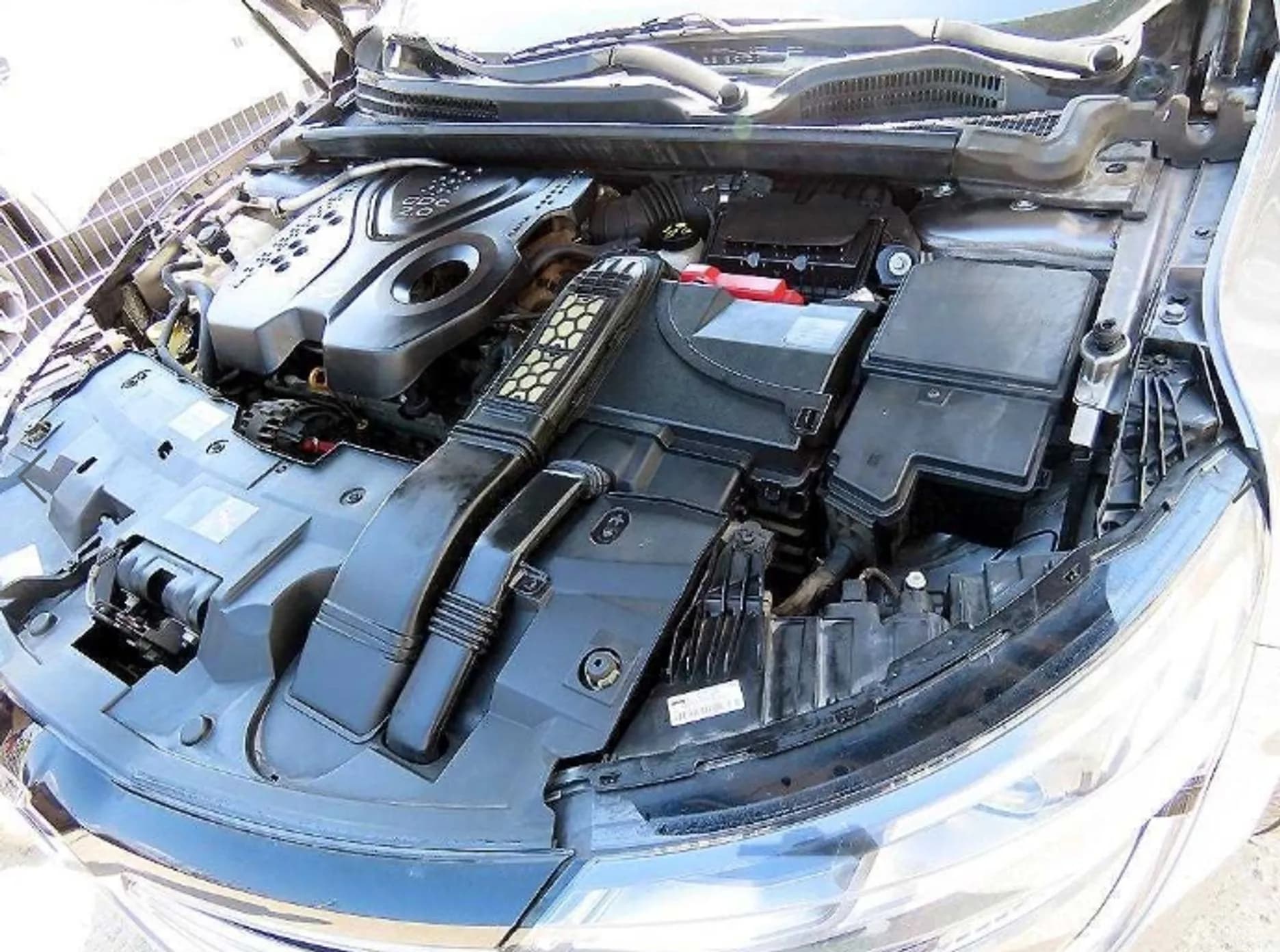 SM6