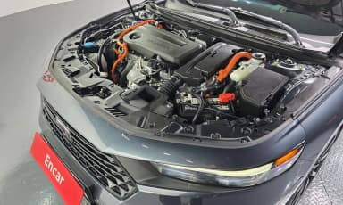 Accord 11th Generation
