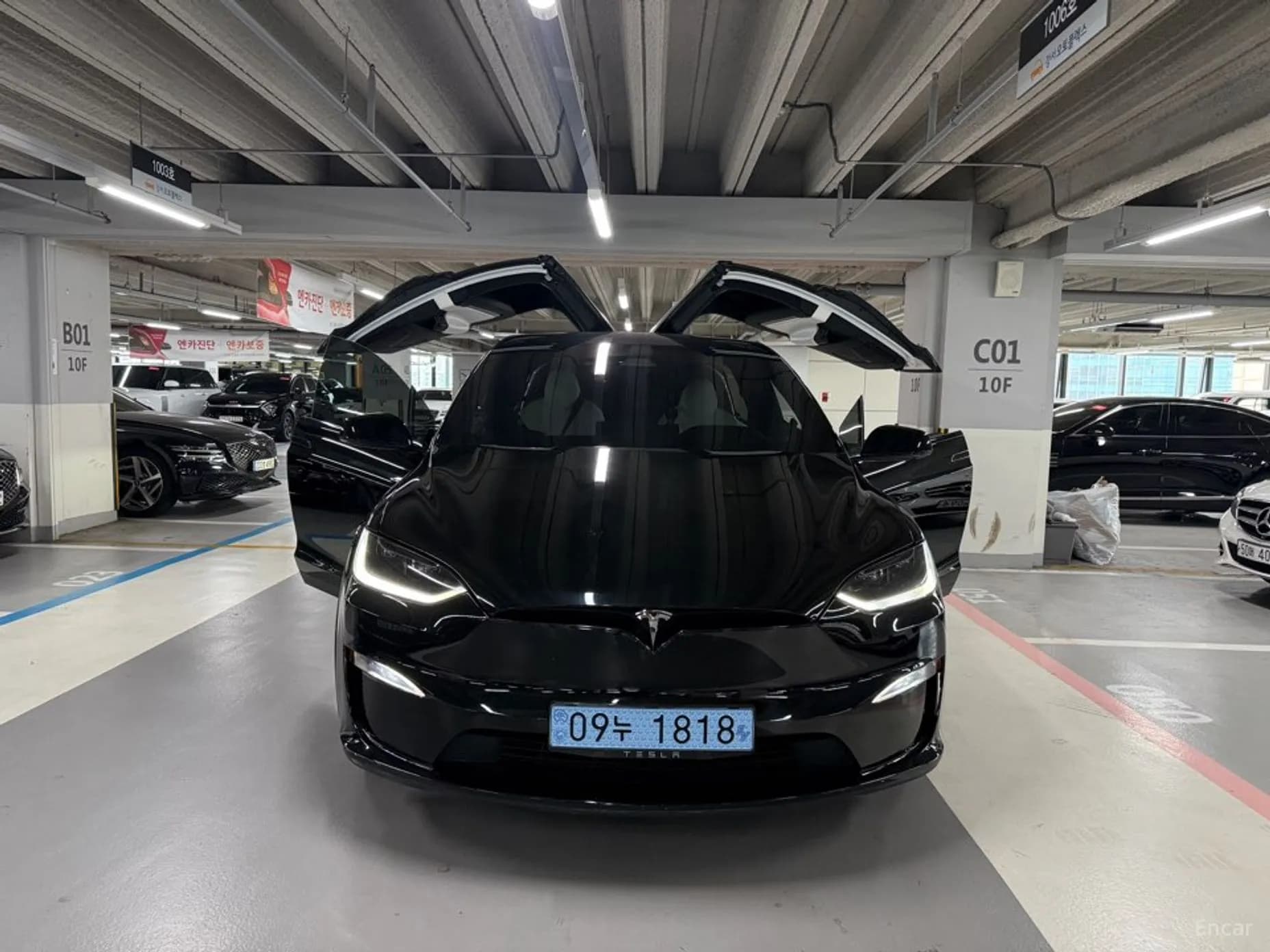 Model X