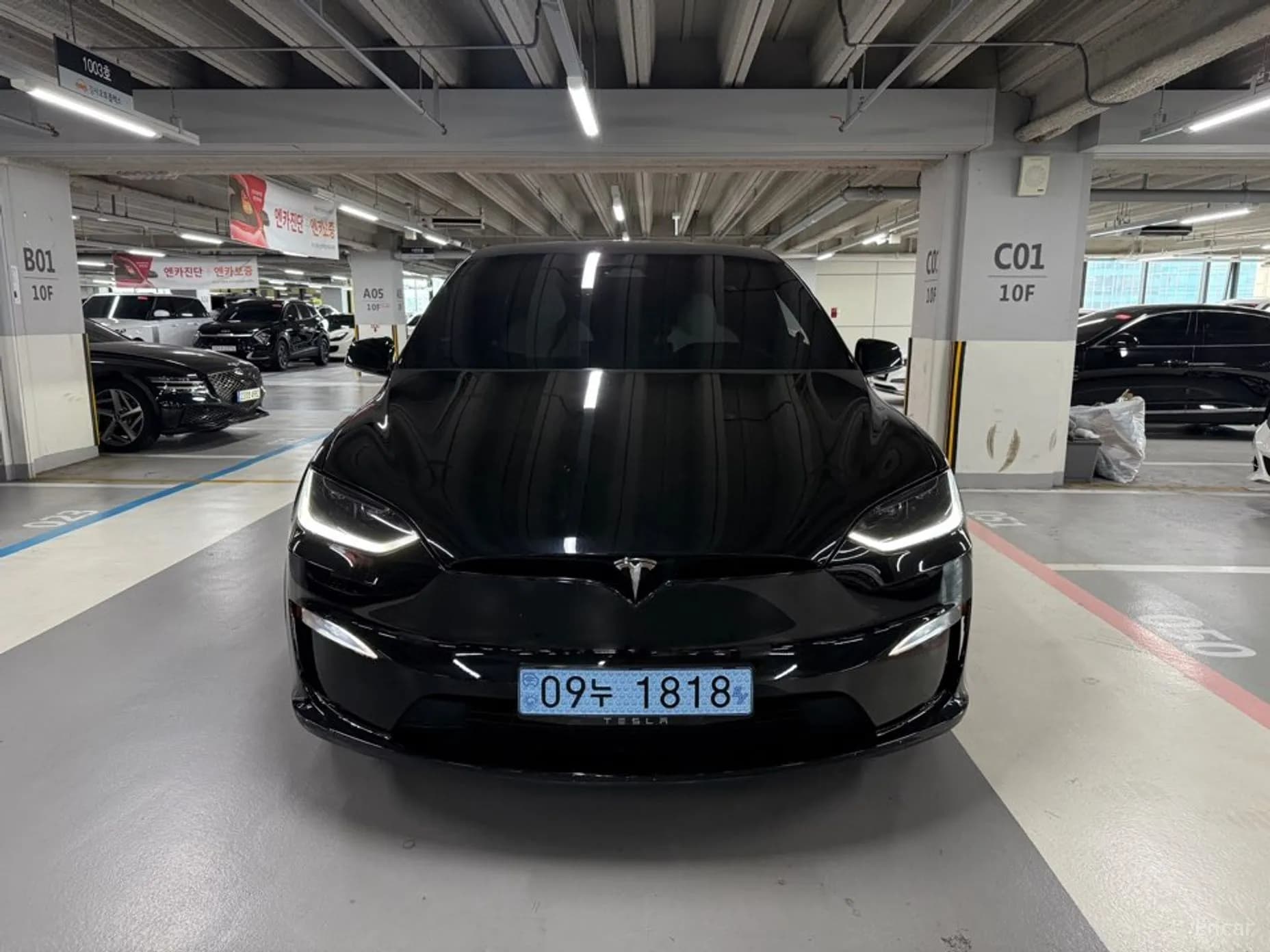 Model X