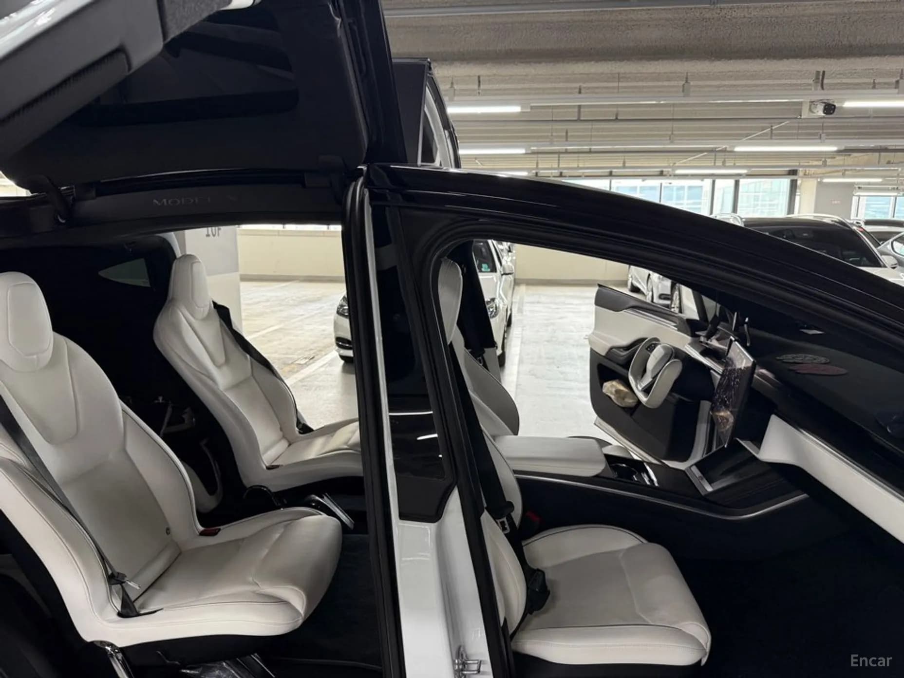 Model X