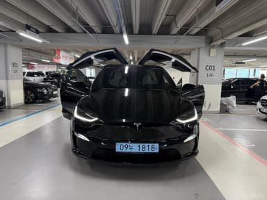 Model X
