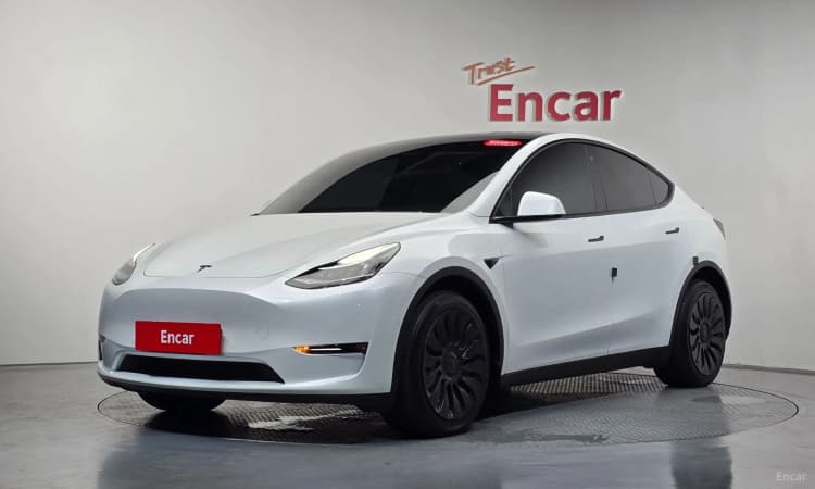 Model Y
