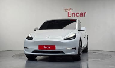 Model Y