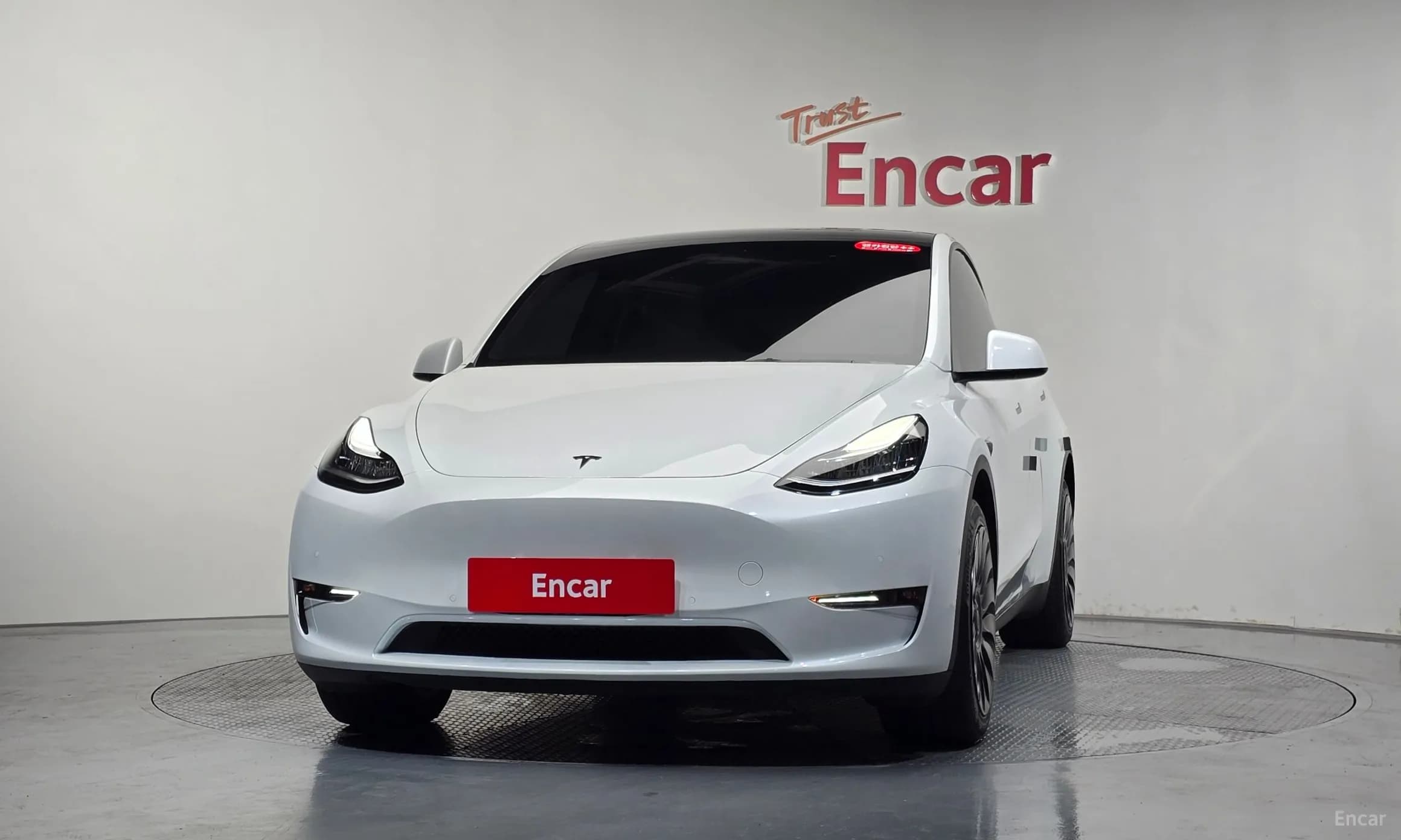Model Y