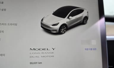 Model Y