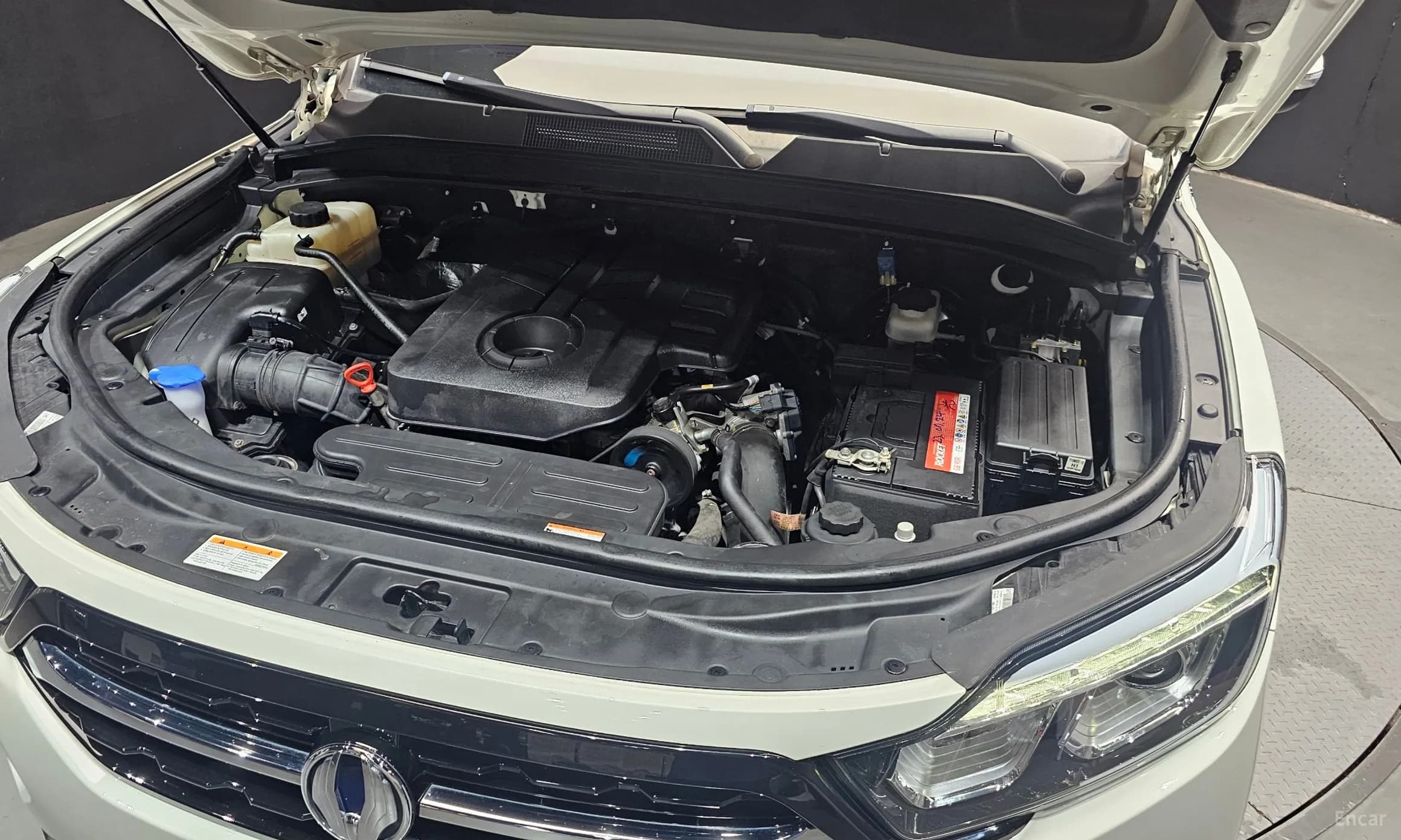 Rexton Sports