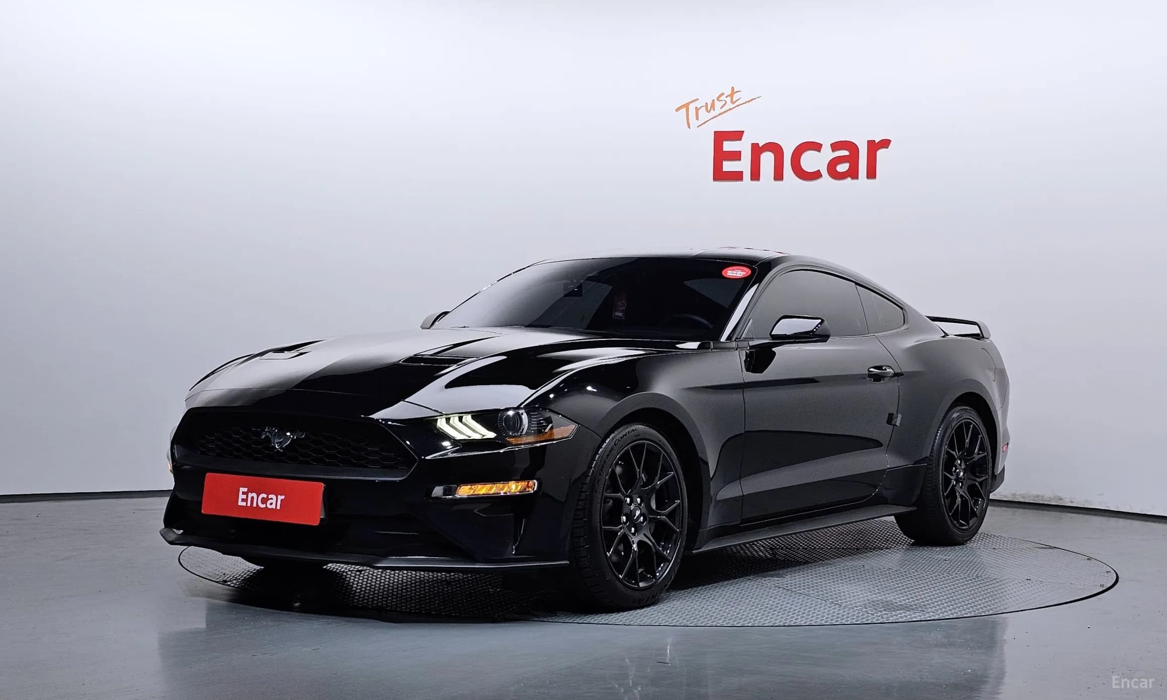 Mustang