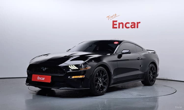 Mustang