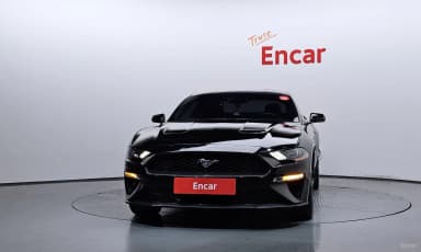 Mustang