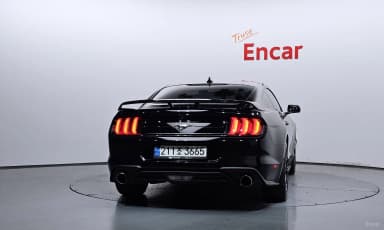 Mustang